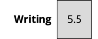Writing Score