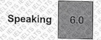 Speaking Score