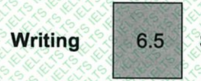 Writing Score
