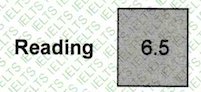 Reading Score