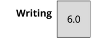 Writing Score