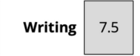 Writing Score