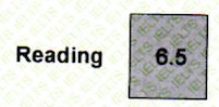 Reading Score