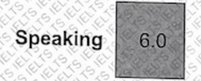 Speaking Score