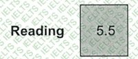 Reading Score