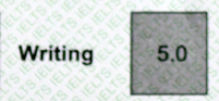 Writing Score