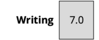 Writing Score